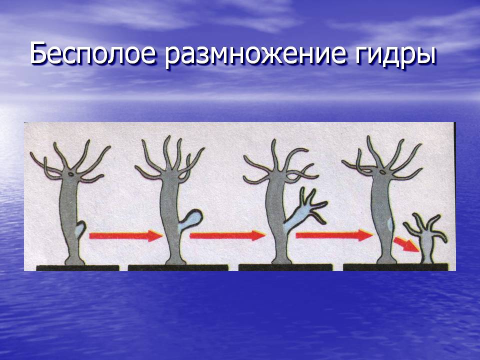 Кракен это современный даркнет маркет плейс